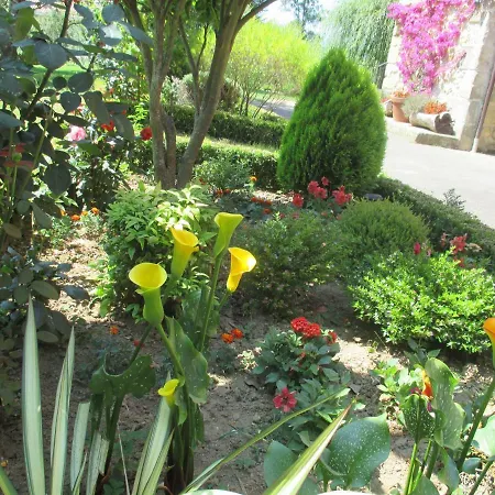 Apartament Apartamento Rural El Jondrigu *